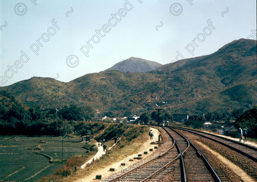 PMR.HK-22 
 Hong Kong 1958: typical scenery in the New Territories, with railway tracks and paddy fields, taken from the train. 
 Keywords: British colonies, Far East, tropics, island, historic, nostalgia